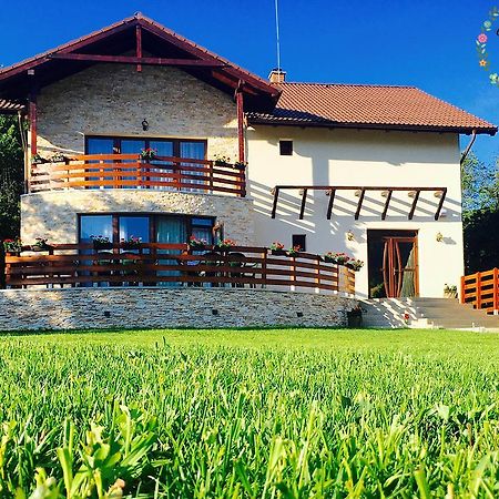 Pensiunea Casa Florela Capusu Mic Exterior foto